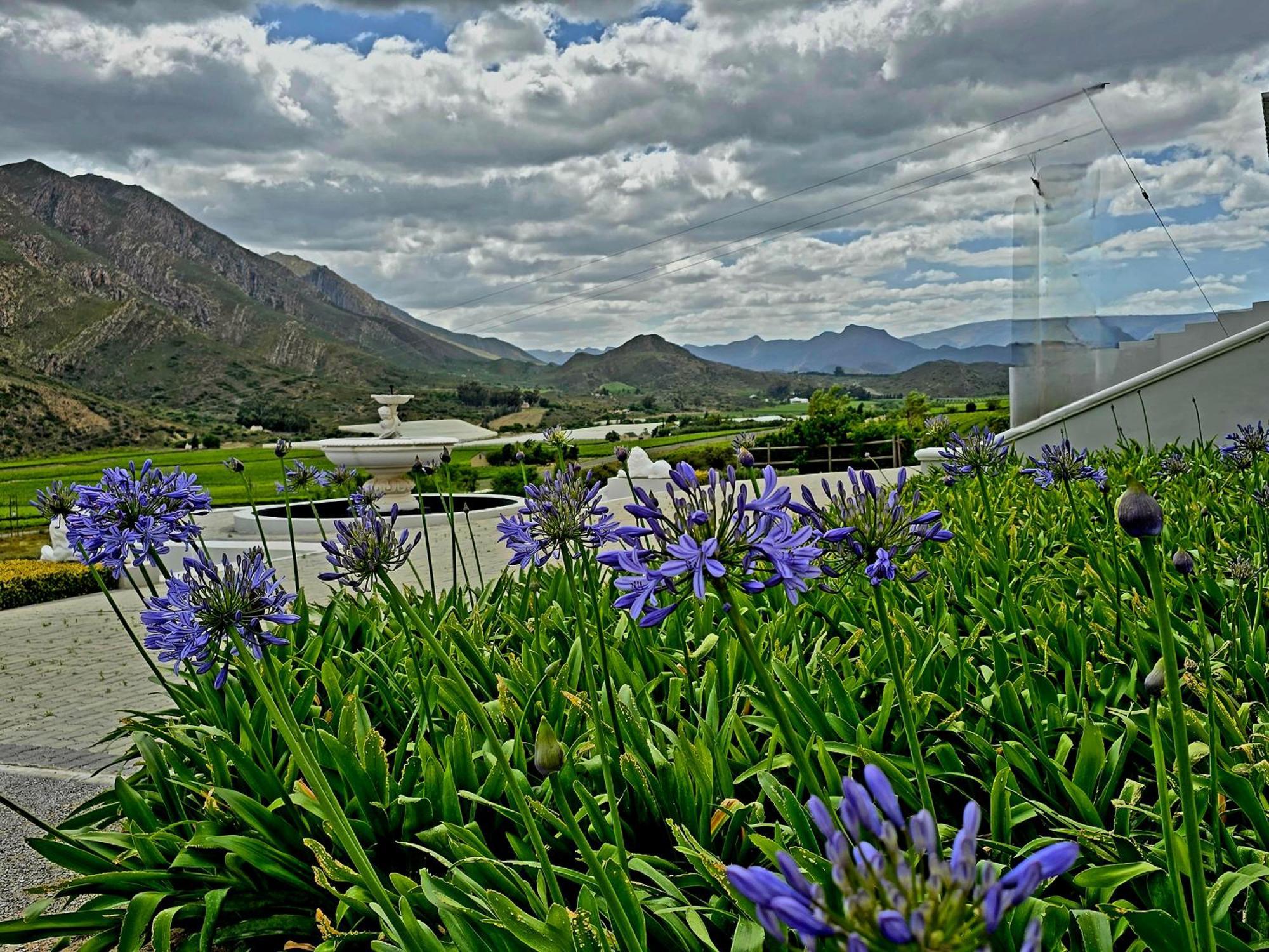 Pjure Boutique Hotel & Spa มอนตากู ภายนอก รูปภาพ