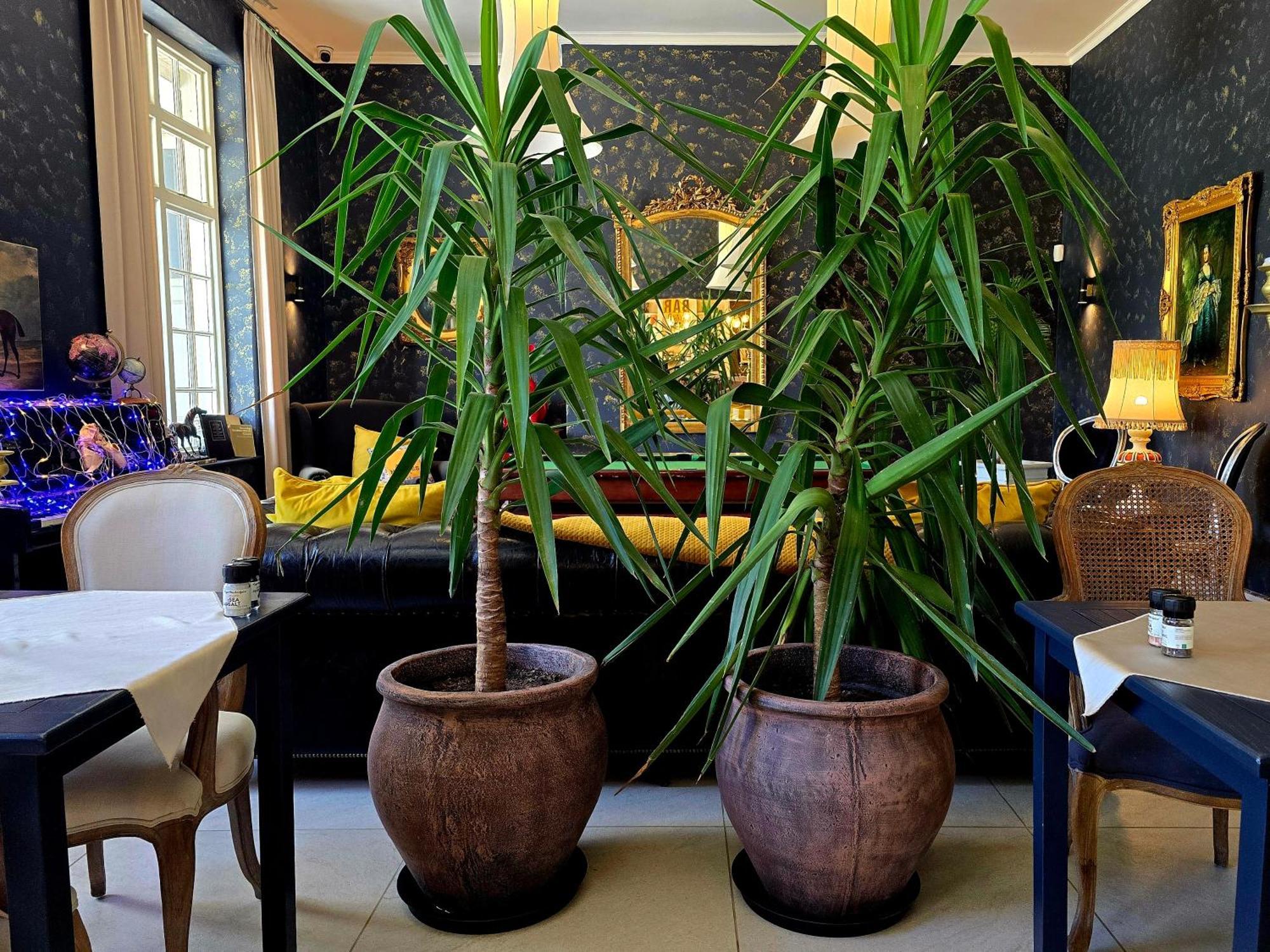 Pjure Boutique Hotel & Spa มอนตากู ภายนอก รูปภาพ